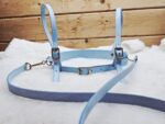 Traditional vintage style leather toddler reins with lead rein ADHD - Autism - Image 14